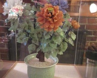 large Jade tree in case