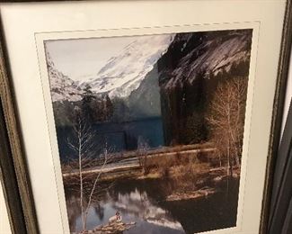 Professional hanging piece $50