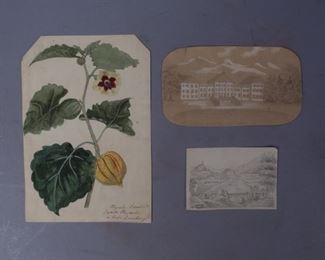 Group 3 Drawings of Cape Gooseberry & Landscapes 1861
