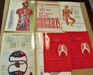 Rare anatomical transparency booklets