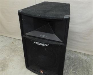 Peavey SP-2X 1000 Watt Speaker