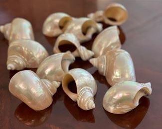 Set of 12 shell napkin holders.