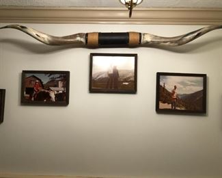 Mounted Texas longhorn steer horns.