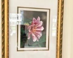 56. Set of 3 Framed Floral Photos by Helen Shaine (11" x 14") Coneflower 121/500 Bouquet 138/500 Tropical Flower 103/500 