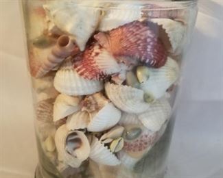 $25.00, 18" jar of shells
