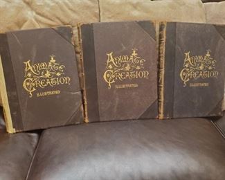 1898 "ANIMATE CREATION" VOL. IV, V, VI