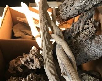Driftwood and petrified wood.