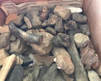 Shark teeth, Shark vertebrae, Whale vertebrae, Dolphin ear bones, Whale ear bones, Ray dental plates and Sand dollars.