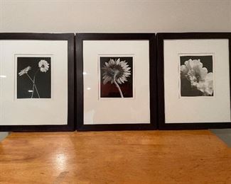 3 - Black & white floral pictures