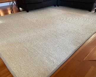 Calvin Klein 9 x 12 sisal rug