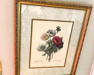 3 of 6 Botanical framed prints 