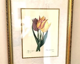 4 of 6 Botanical framed prints.  16" W x 20" H. 