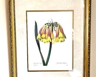 2 of 6 Botanical framed prints.   16" W x 20" H. 