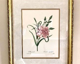 $125 each - 1 of 6 Framed botanical prints.  16" W x 20" H. 