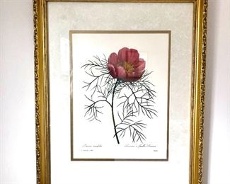 6 of 6 botanical prints.   16" W x 20" H. 
