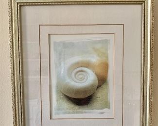 $25 - Framed art spiral shell.  11.5" W x 13.5" H. 