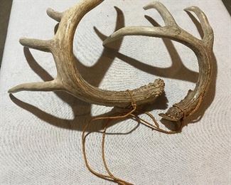 Deer Antlers Hunting Rattlers. $50