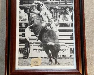 Framed rodeo picture of "Ty Murray" bull rider. Nine-time World Champion. Inductee of the Pro Rodeo Hall of Fame. He is also co-founder of the Professional Bull Riders (PBR). Measure 10 1/2" x 13". $15