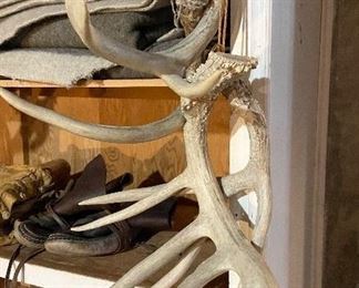 5 point deer antlers, $50
