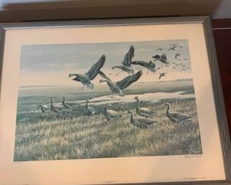 Ducks Unlimited Print