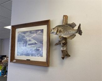 Mounted fish and picture