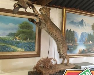 I'd say that the bird isn't going to make it, but I'm pretty sure they have both already met their fate! this thing is large and awesome!