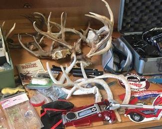 Fossilized dear ears.... just kidding.