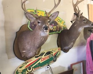 weird cows.   ; )                                                      Castrol GTX race car sign                                           & a Camel Racing car sign