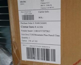 7.5 Mountain Pine Pencil Tree