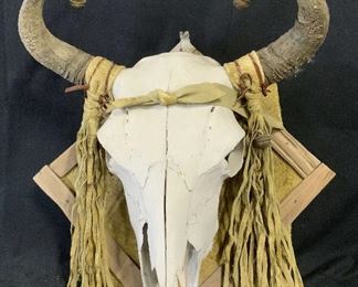 Elk Dreamer Buffalo Skull Wall Mount
