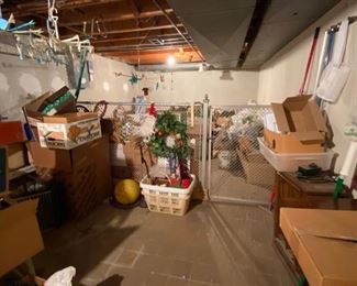 Some florals in fenced area of basement