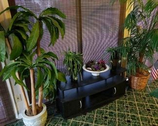 https://ctbids.com/#!/description/share/697700 This lot comes with 2 silk palms 5’ one is in a beautiful Asian ceramic planter, 2 vases 20”, bowl with greenery, console table 47x19x16”  most importantly, "birds in the bush."

