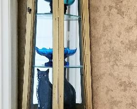 Tall display case. Unique piece.