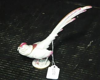 Augarten Wien Fasan Pheasant 