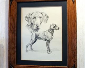 Framed Matted Under Glass Weimaraner Sketch Portrait By Betsy Wright, Dated 1981, Signed And Numbered In Pencil, 67/250, 25in X 21in