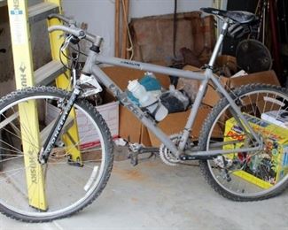 Boralyn Concept Univega Men's Mountain Bike, 19in