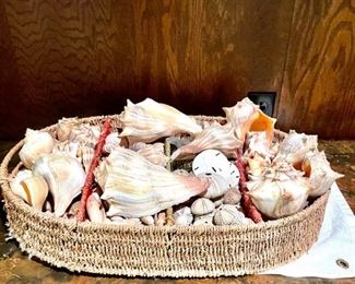 Dozens of beautiful sea shells--collected at the shore over a lifetime by the homeowner