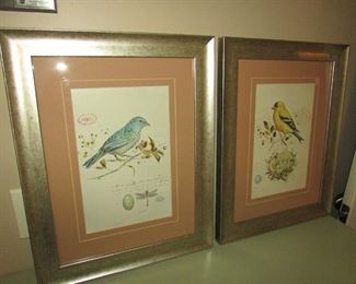 •	Item 73: (2) framed bird prints. 15” x 19” PRICE FOR PAIR: $30.00