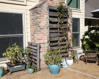 Plants and wooden pallets
