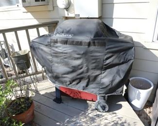 Covered gas grill