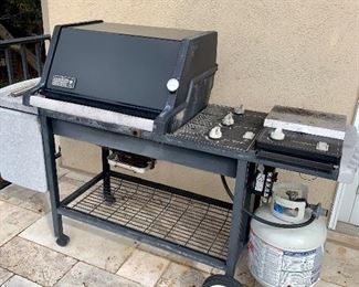 Gas grill