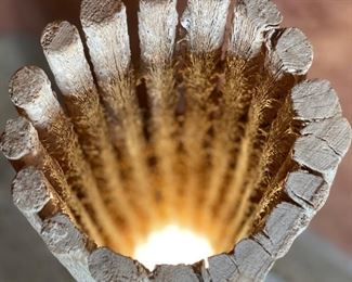 Saguaro Cactus Skeleton Lamp 38x10x8in