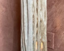 Saguaro Cactus Skeleton Lamp	38x10x8in	
