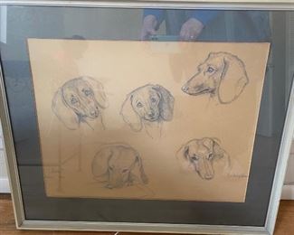 Dachshund pencil drawing 