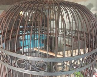 top of the great bird cage