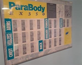 Parabody E X 350 wall poster with exercises