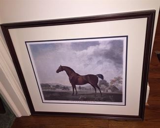 SWEETWILLIAM Framed Print