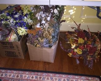 Assorted Dry Flowers 