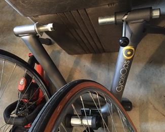 CycleOps Bicycle Carrier