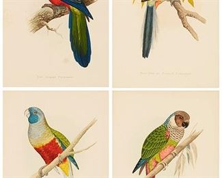 1109
Alexander Francis Lydon (1836-1917, United Kingdom) Four Works
"Red Shining Parrakeet," 1884-87
Color wood engraving on paper under glass
Sight: 9" H x 6" W; Sheet: 10" H x 7.25" W
Signed in the plate left center: AF Lydon

"Rose-Hill or Rosella Parrakeet," 1884-87
Color wood engraving on paper under glass
Sight: 9" H x 6" W; Sheet: 10" H x 7.25" W
Unsigned

"Blue Bonnet Parrakeet," 1884-87
Color wood engraving on paper under glass
Sight: 9" H x 6" W; Sheet: 10" H x 7.25" W
Unsigned

"White-Eared Conure," 1884-87
Color wood engraving on paper under glass
Sight: 9" H x 6" W; Sheet: 10" H x 7.25" W
Signed in the plate left center: AF Lydon
Estimate: $500 - $700